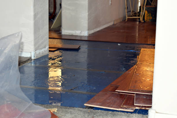 Professional Burst Pipe Cleanup technician working in Linden, AL